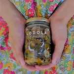 La Lodola فويانو ديلا تشيانا
