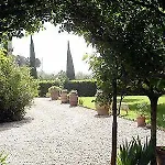 La Lodola