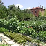 La Lodola *