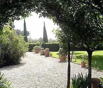 La Lodola