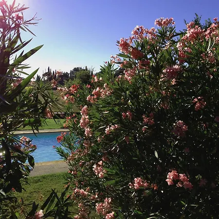 La Lodola Landsted *
