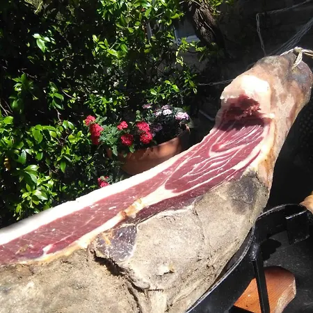 La Lodola Foiano Della Chiana