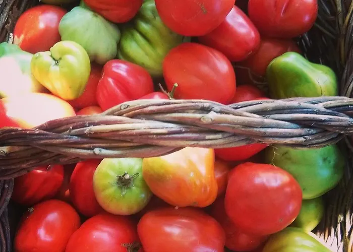 カントリーハウス ラ ロドラ *