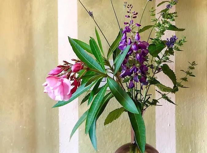 ラ ロドラ カントリーハウス *