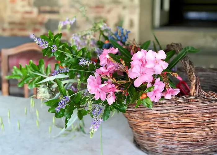 カントリーハウス ラ ロドラ *
