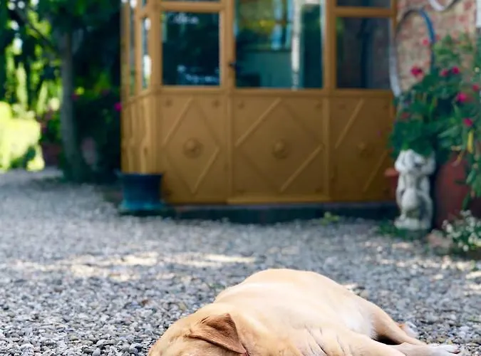 カントリーハウス ラ ロドラ *