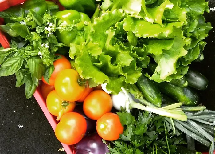 ラ ロドラ フォイアーノ・デッラ・キアーナ